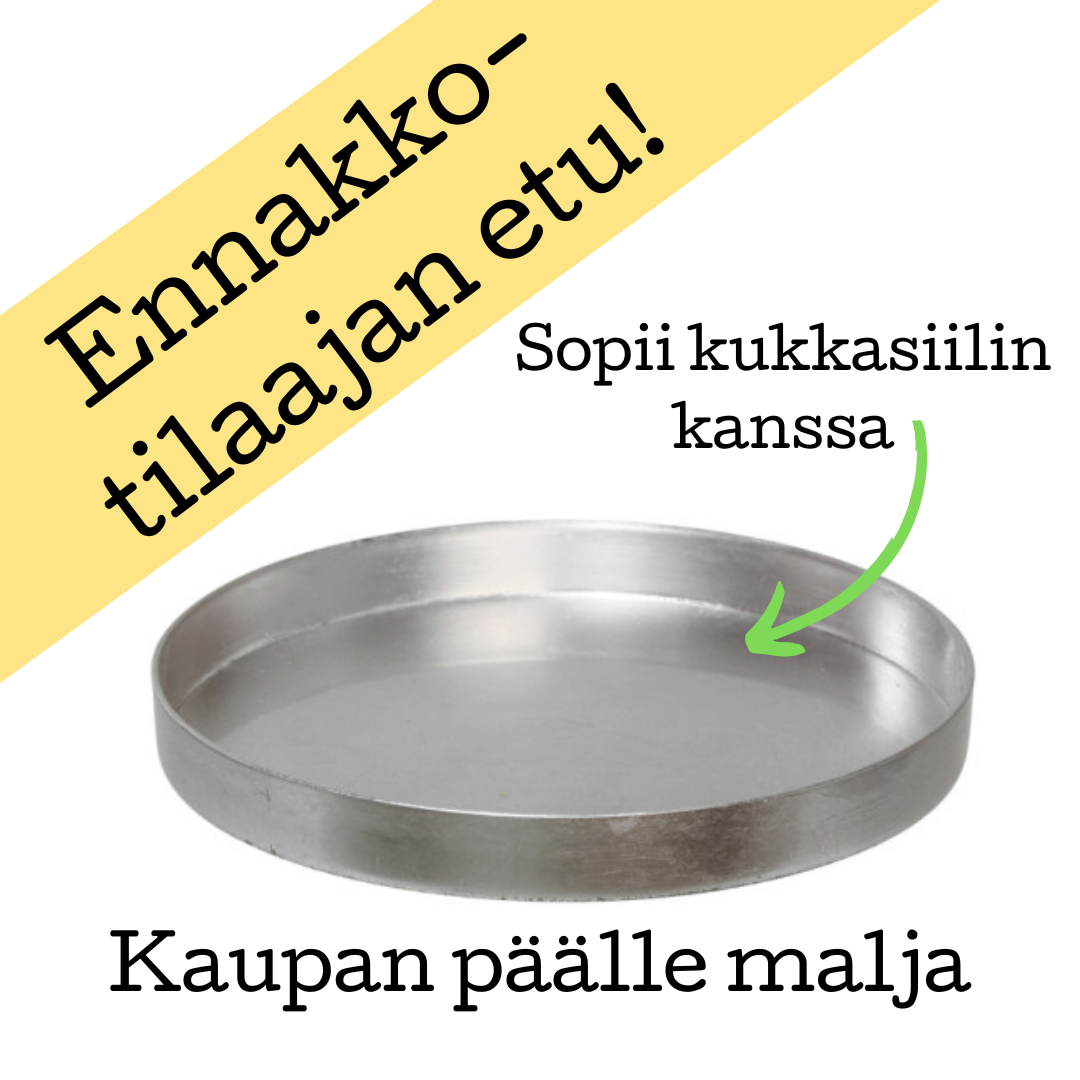 Kukkasiili kenzan rengas