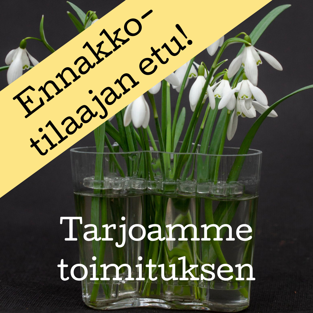 InVase kukkatuki maljakkoon